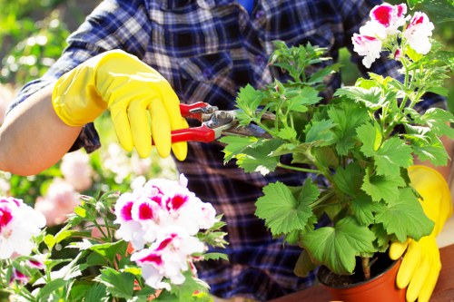 Healthy garden soil prepared for planting