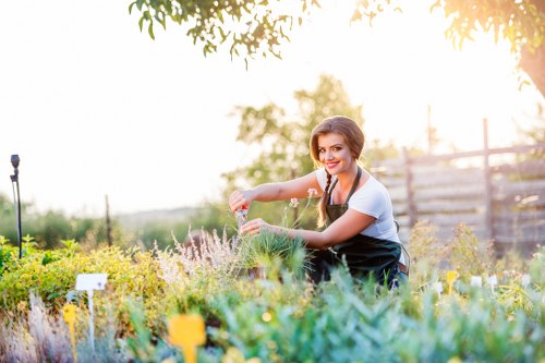 Gardener assessing overgrown garden for clearance