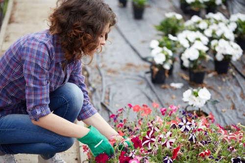 Professional gardener working on lawn maintenance