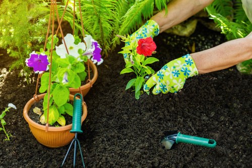 Beautifully mowed garden lawn with vibrant green grass