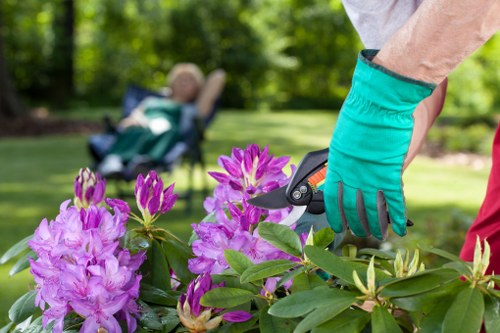 Eco-friendly garden maintenance in progress