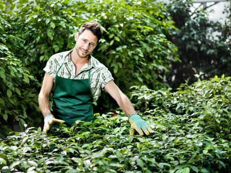 Eco-friendly hedge trimming practices in a sustainable garden