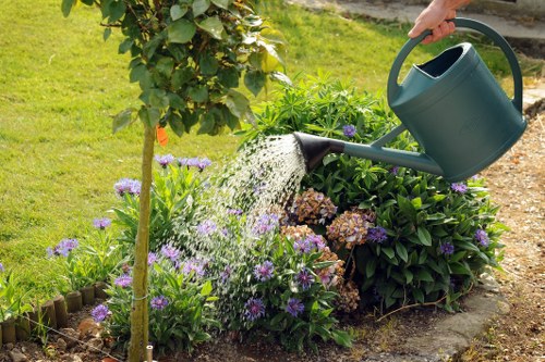 Different types of lawn mowers arranged for selection