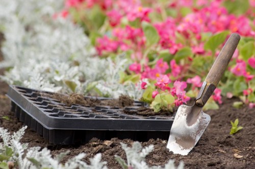 Tools for garden clearance laid out in garden setting