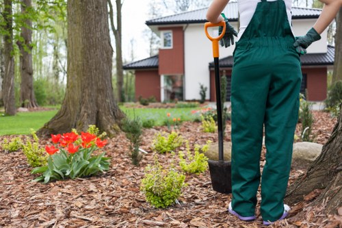 Garden planning with plant selection and space assessment