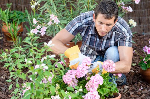 Professional gardener designing a garden layout with lighting