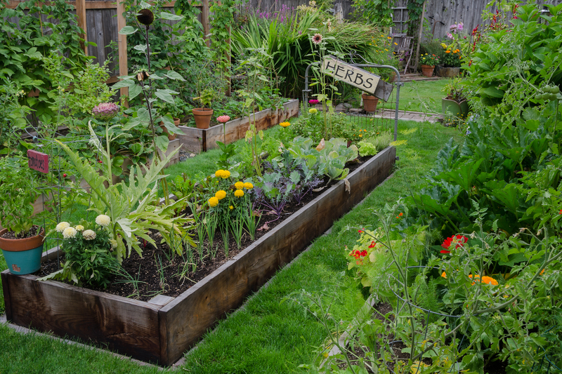 lawn care irrigation system